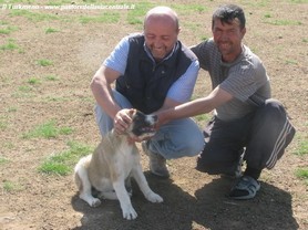 Nel Karakum Desert - in TURKMENISTAN